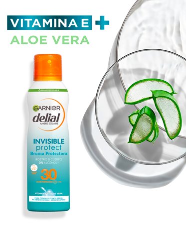 3600542198417 ingredientes